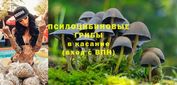 гидропоника Аркадак